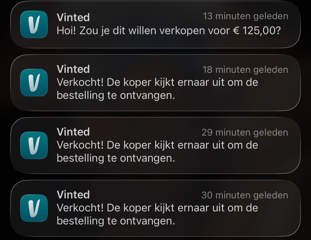 Maand 3 — Vinted bewijs