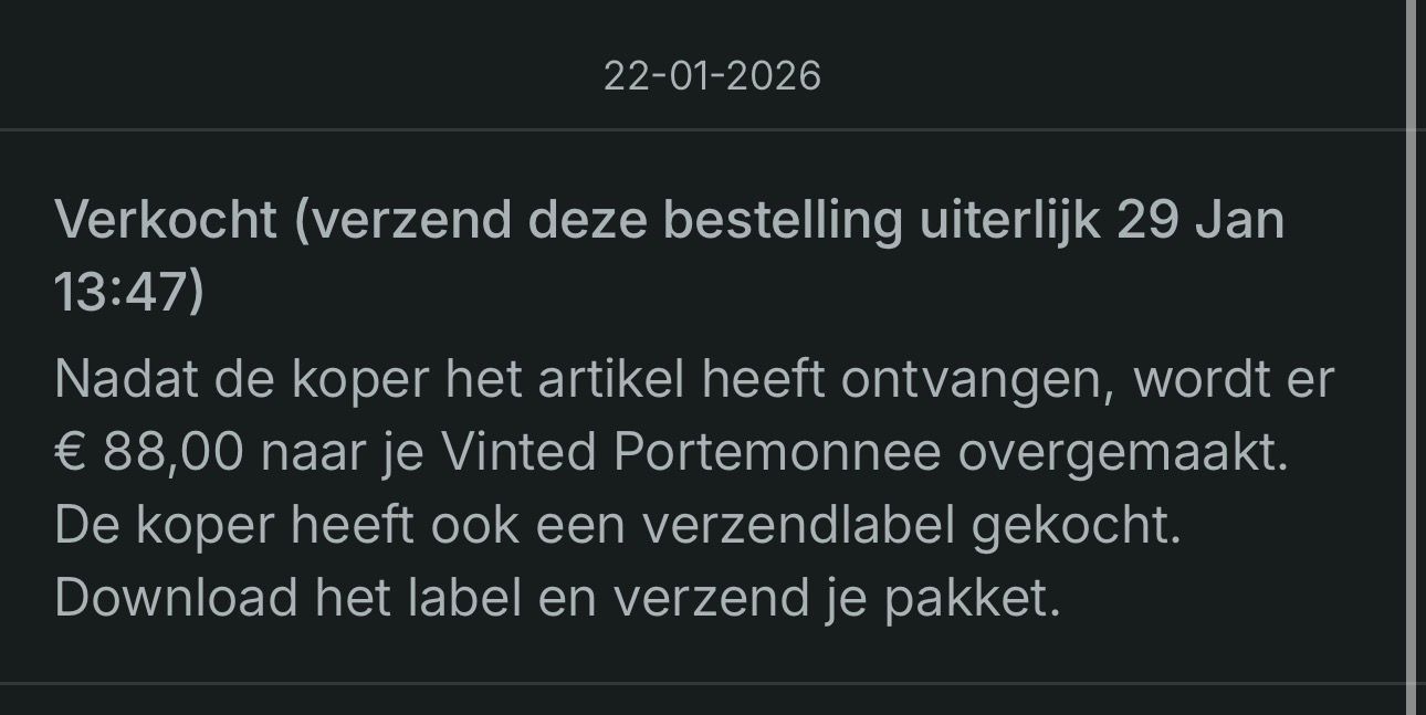 Maand 3 — Vinted bewijs