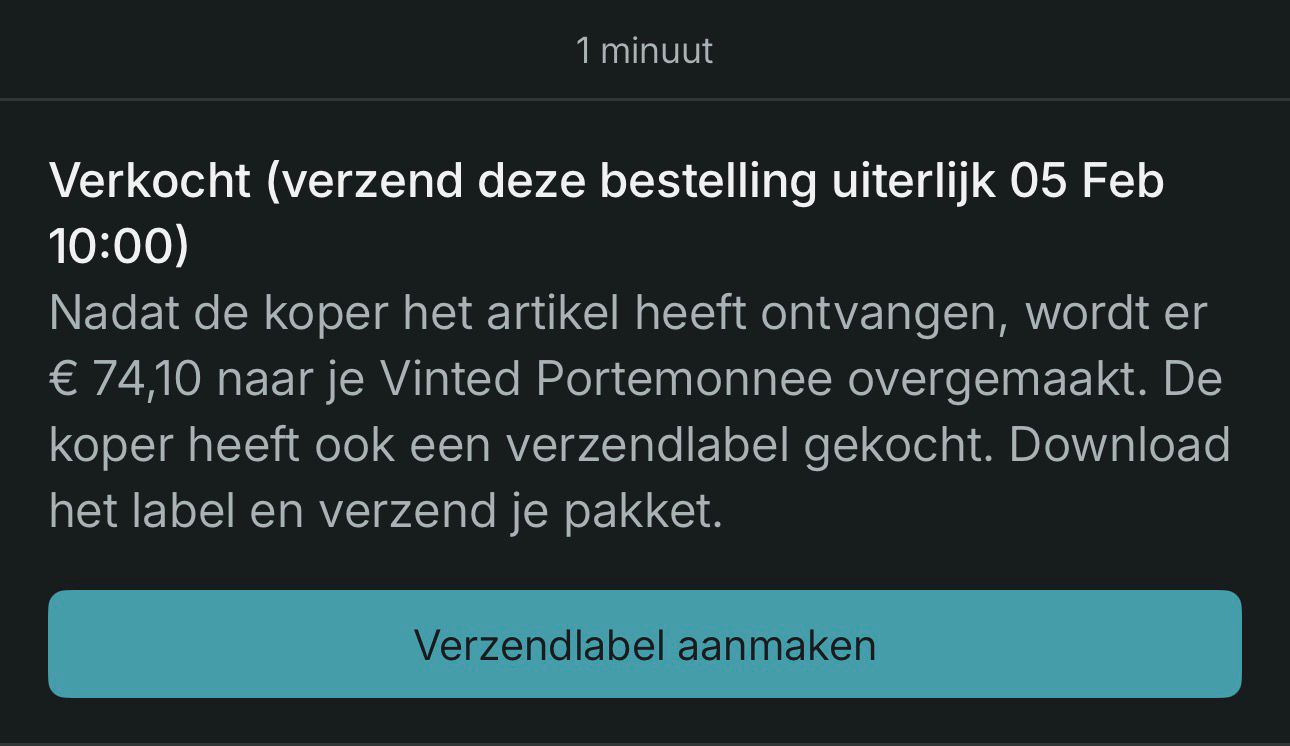 Maand 1 — Vinted bewijs