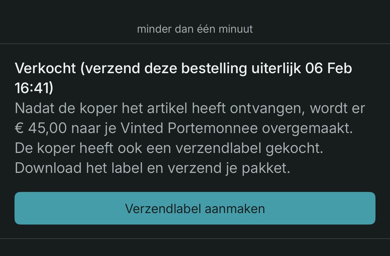 Maand 1 — Vinted bewijs