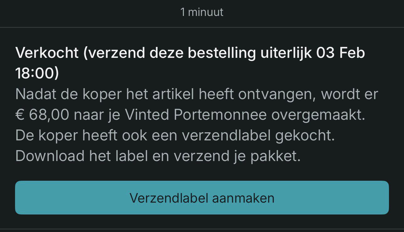 Maand 2 — Vinted bewijs