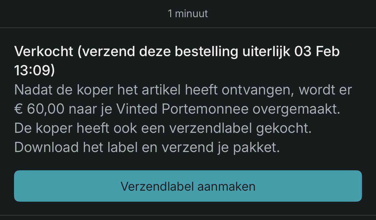 Maand 2 — Vinted bewijs