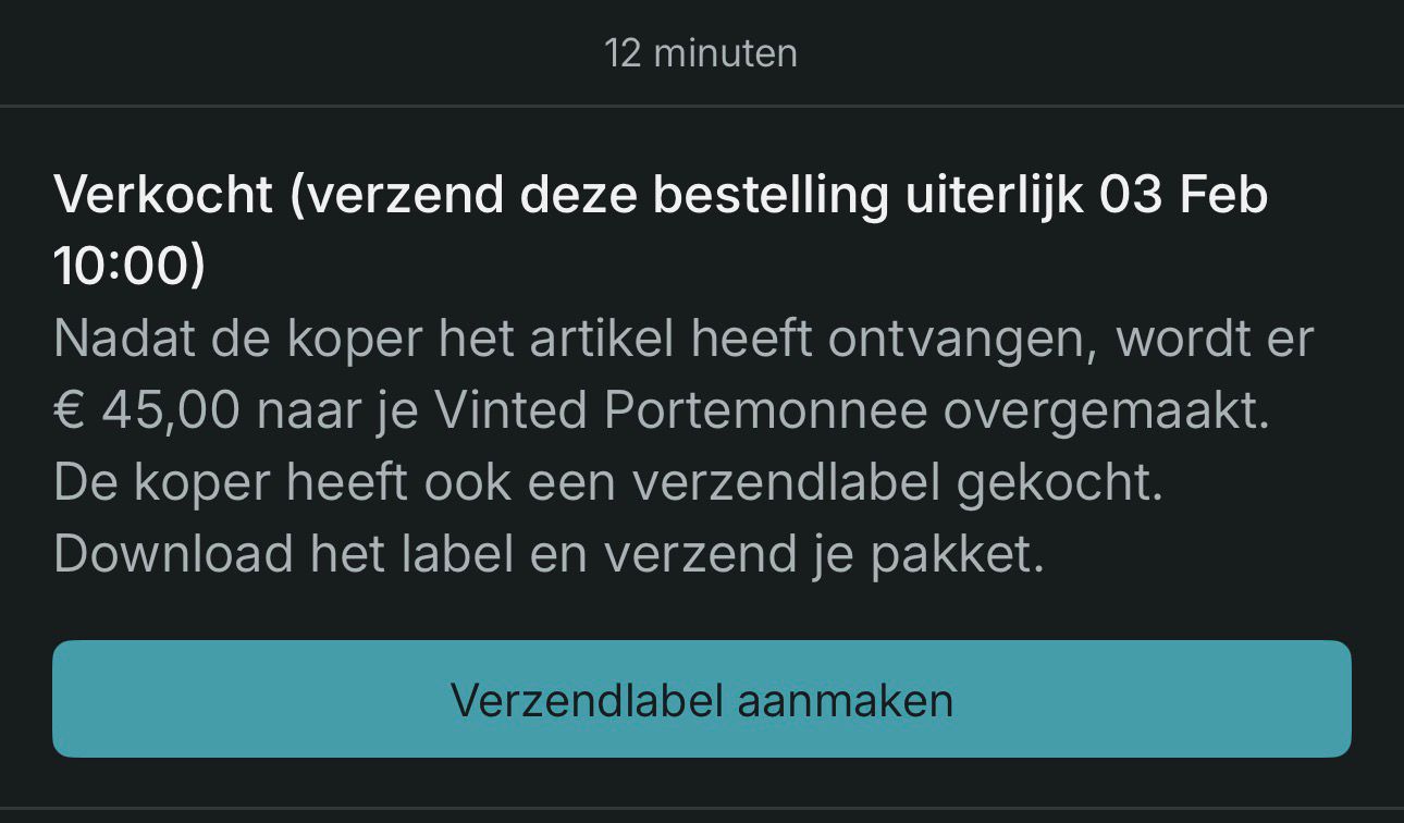 Maand 3 — Vinted bewijs