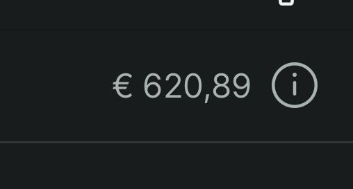 Maand 2 — Vinted bewijs